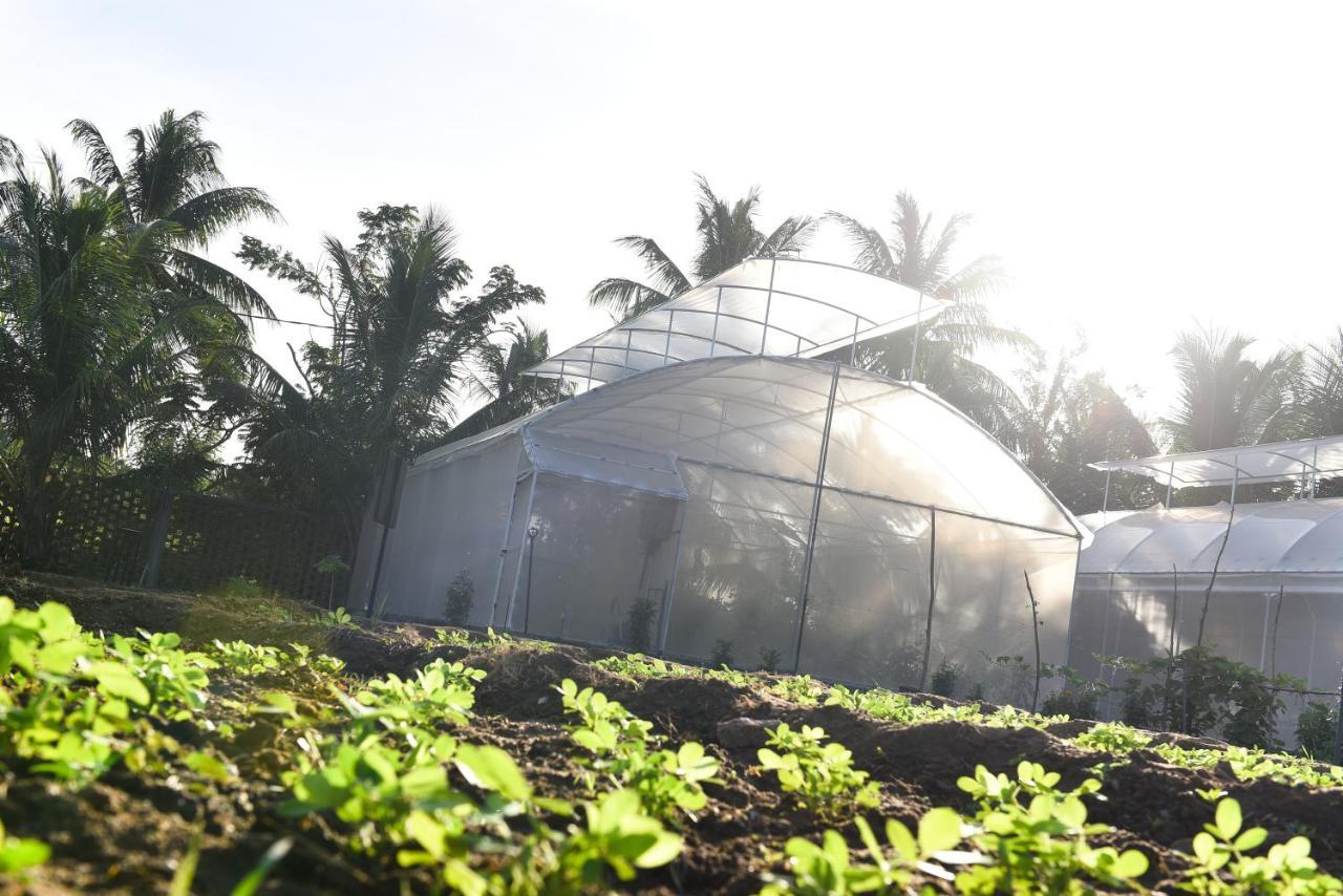 Blue Wild - Yala - Plastic Free & Sustainable Tissamaharama Exterior photo