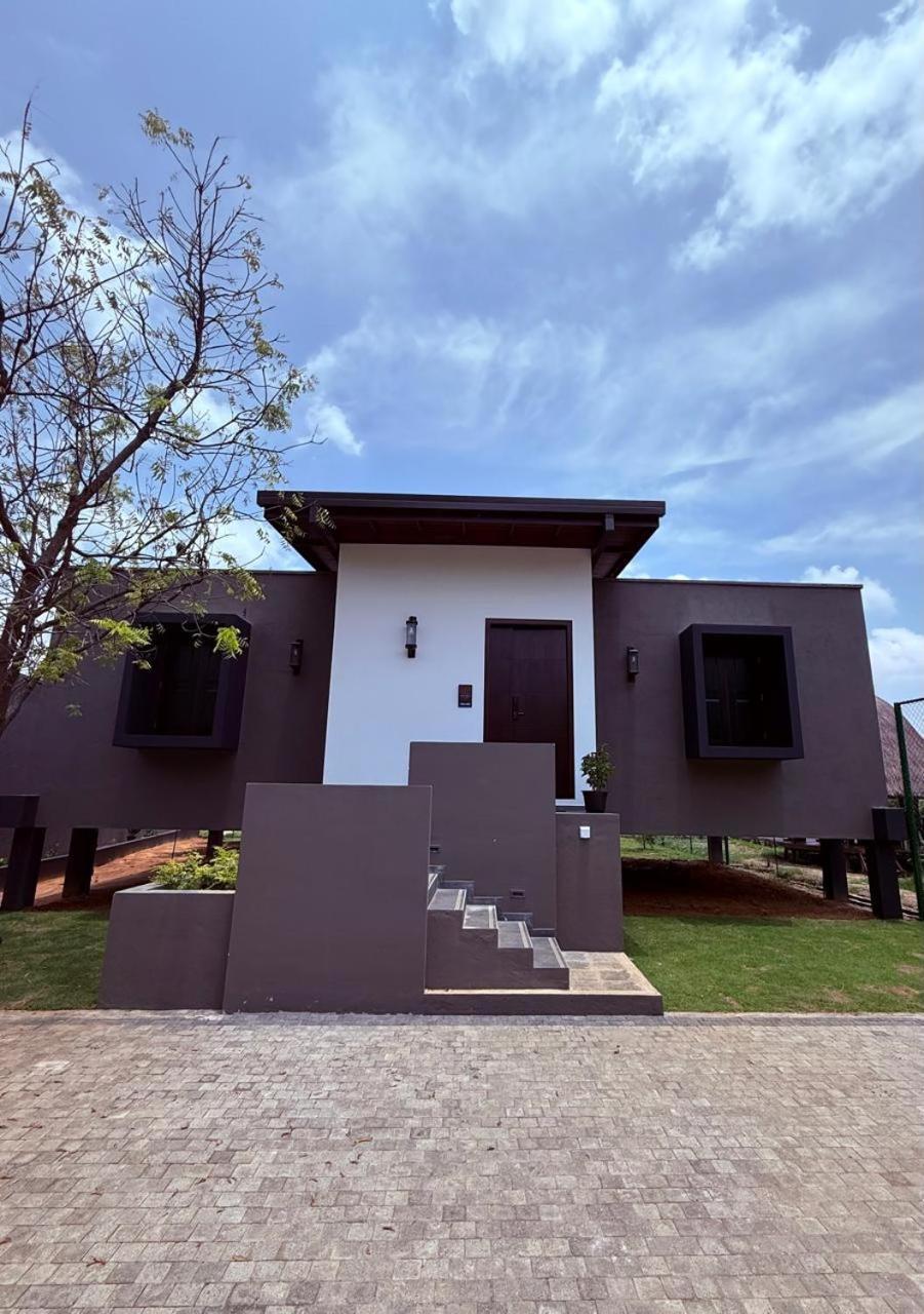 Blue Wild - Yala - Plastic Free & Sustainable Tissamaharama Exterior photo